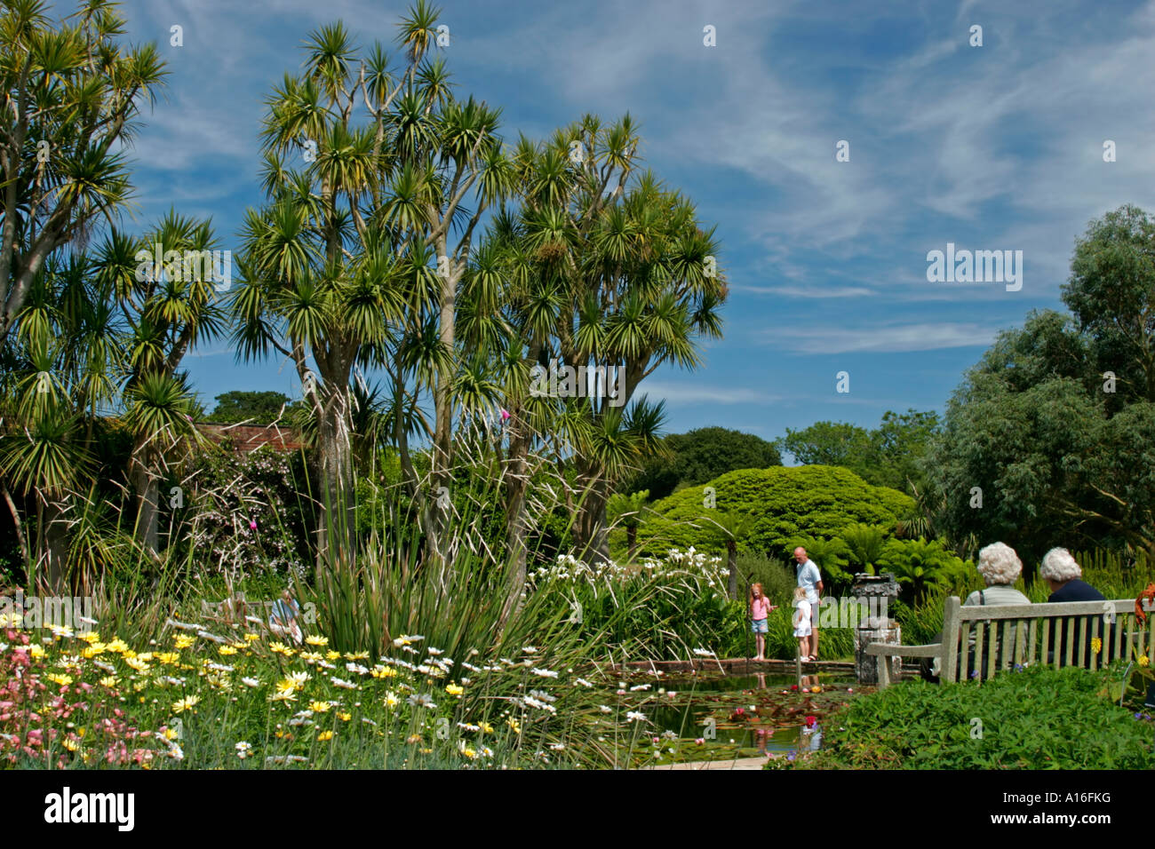 Logan Botanic Garden en Wigtownshire Dumfries et Galloway Ecosse Banque D'Images