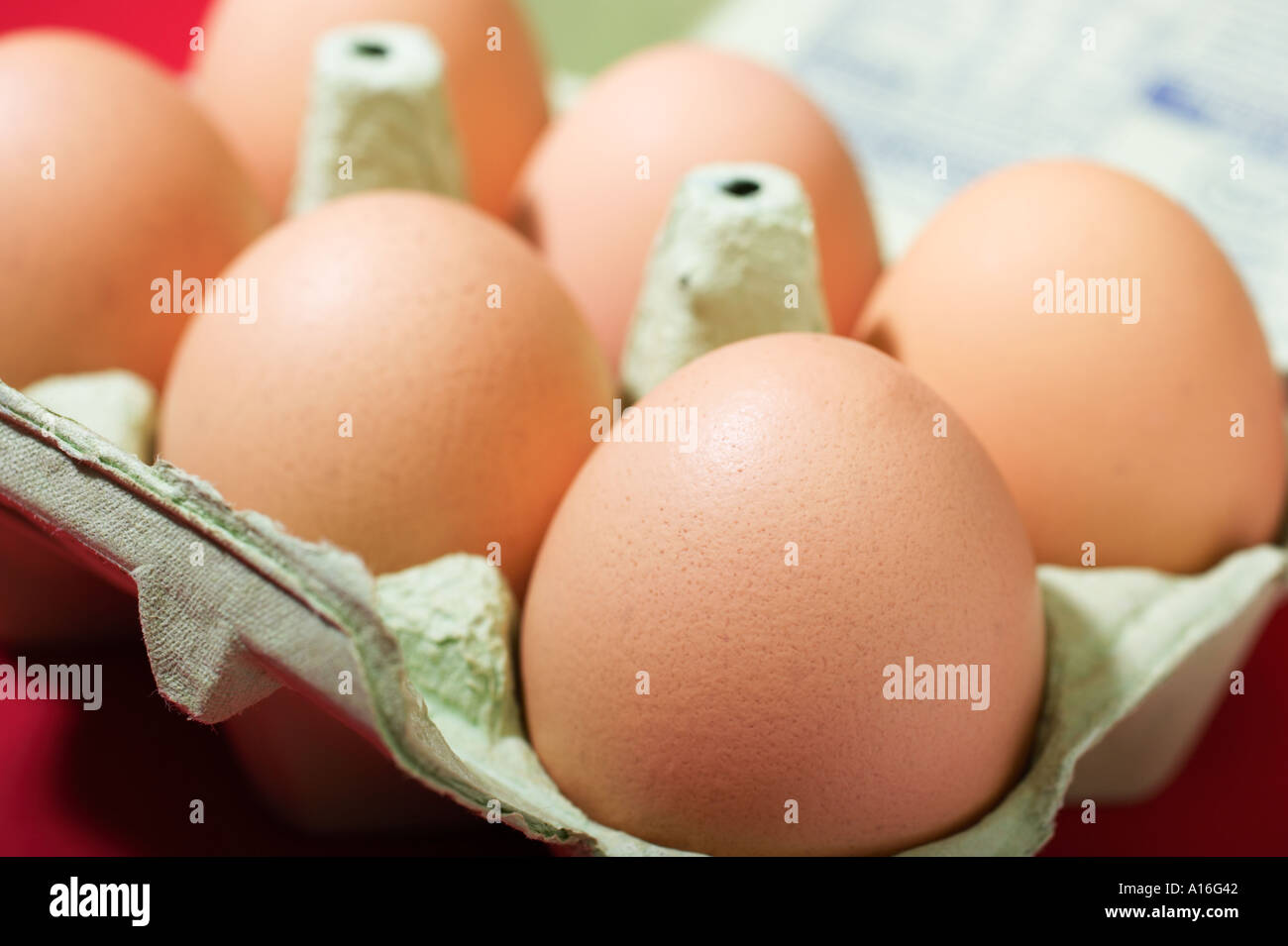 Les oeufs de poule à egg box Banque D'Images