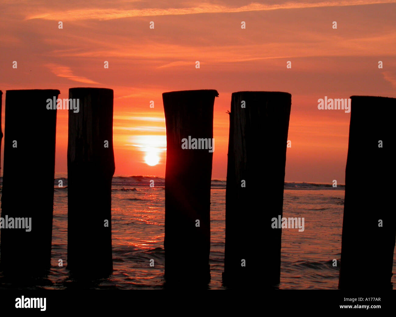 Coucher du soleil au bord de la mer Banque D'Images