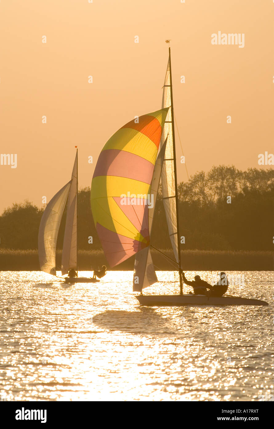 Bateaux à voile au coucher du soleil sur les Norfolk Broads Banque D'Images