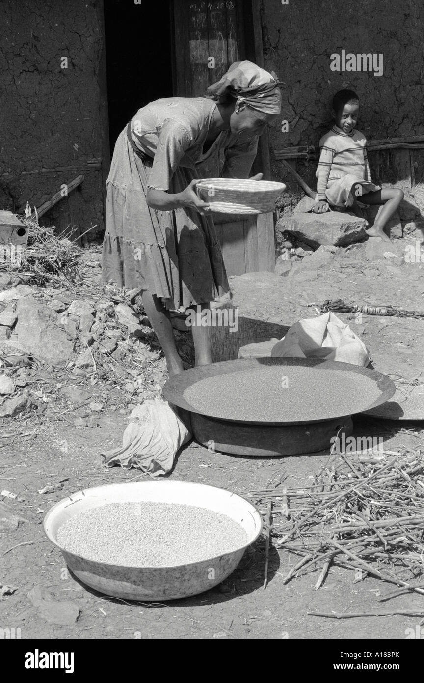B/W d'une femme dans sa cour dans les bidonvilles urbains préparant le millet à faire dans la bière traditionnelle appelée tella.Addis-Abeba, Éthiopie Banque D'Images