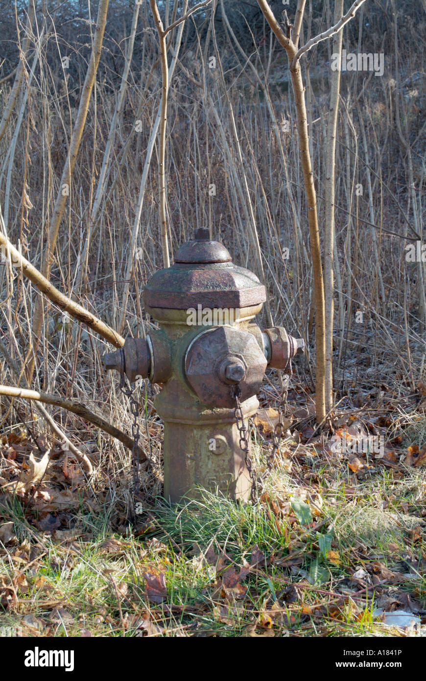 Vieux rouillé, l'eau d'incendie, les camions de pompiers, Banque D'Images