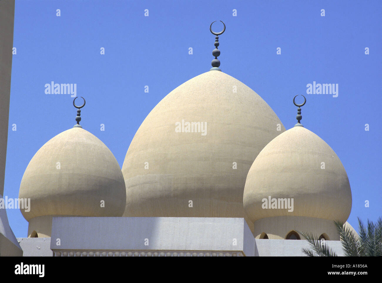Les dômes de la mosquée de Dubaï Dubaï Ber U A E Moyen-orient UN C Waltham Banque D'Images