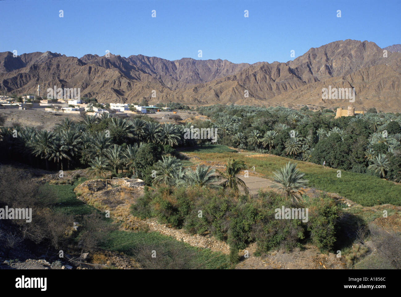 Vue aérienne sur la ville oasis d'Bithnal les montagnes d'Arabie U A E Moyen-orient UN C Waltham Banque D'Images