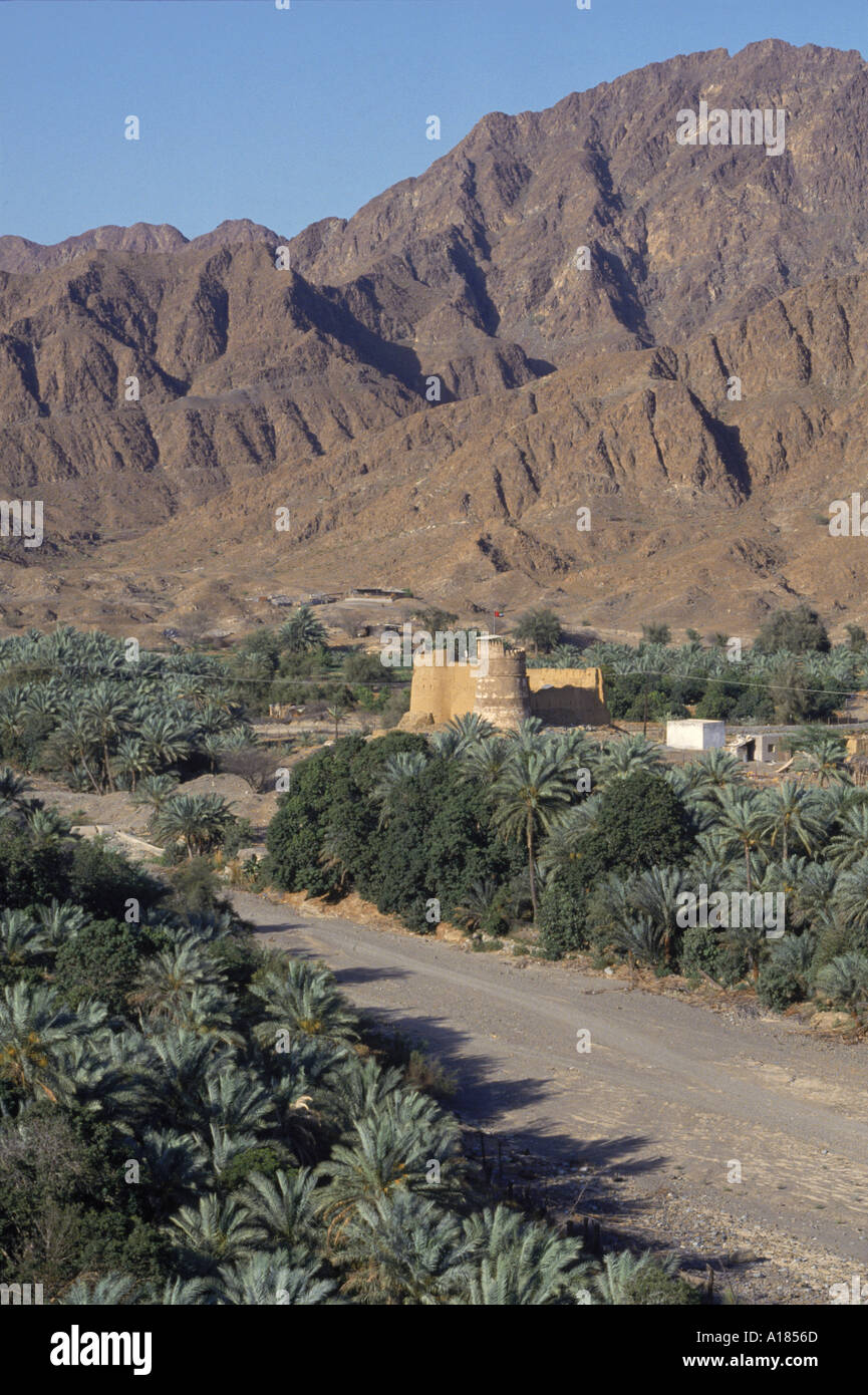 Vue aérienne sur l'Oasis fort de Bithnal les montagnes d'Arabie U A E Moyen-orient UN C Waltham Banque D'Images