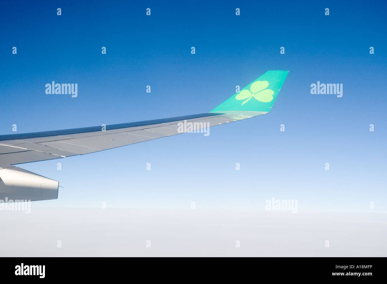 AER lingus aile Banque D'Images
