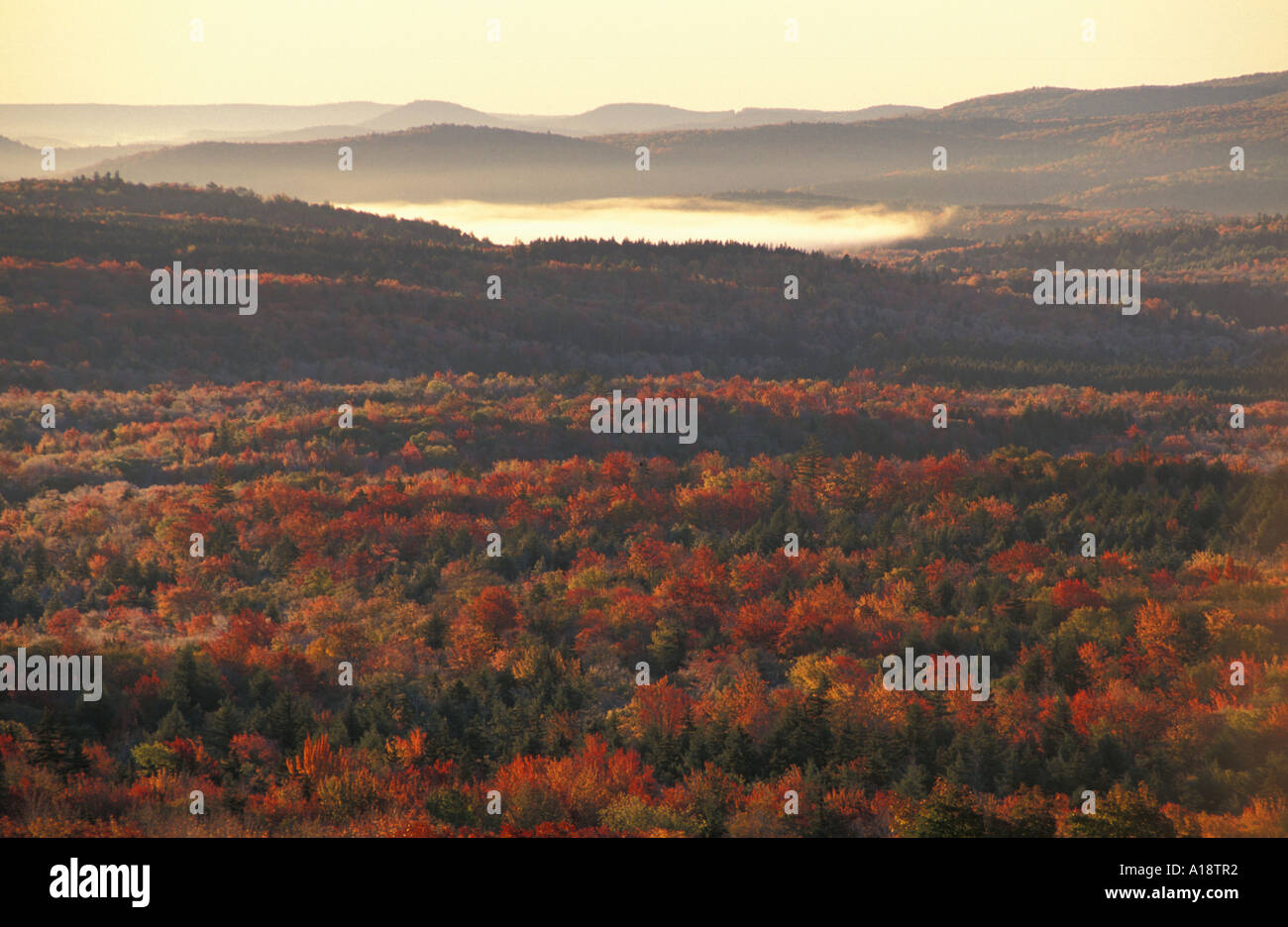 Le Pérou dans l'automne VT Green Mountain National Forest, près de station de ski de Bromley Banque D'Images