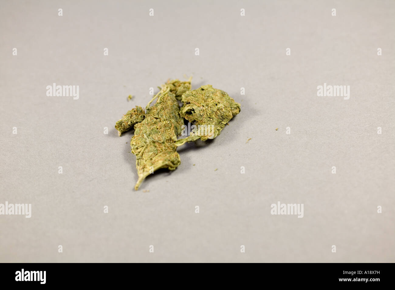 La marijuana trouvés lors de perquisition Banque D'Images