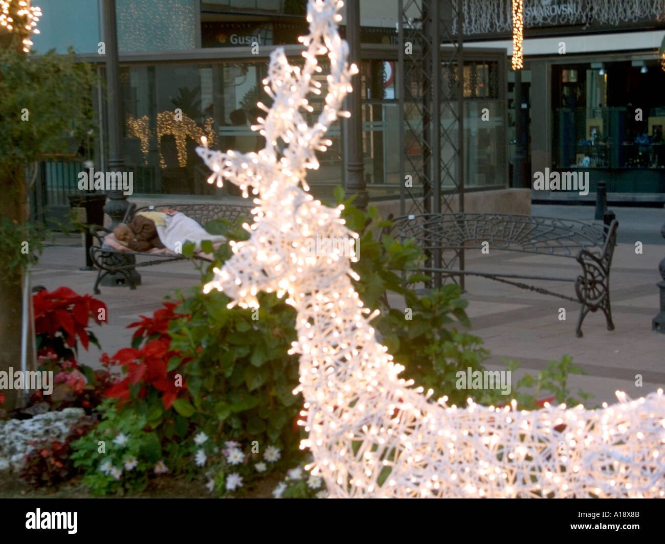 Sans-abri dormant sur un banc la veille de Noël, Espagne Banque D'Images