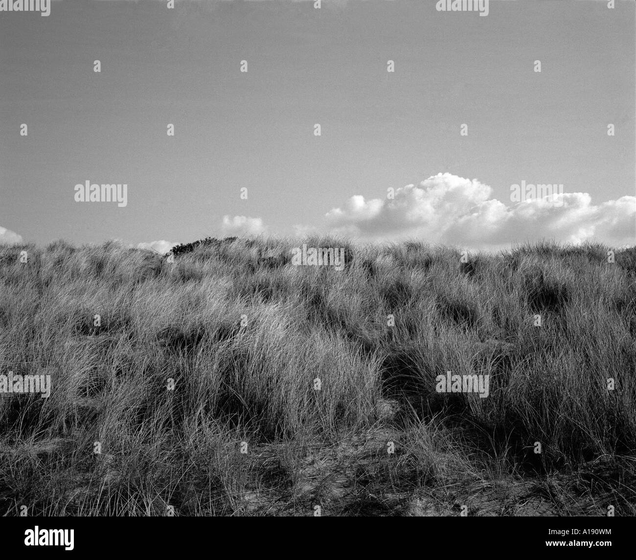 G.B. L'Angleterre, St Austell. Plage des dunes. L'année 2005. Banque D'Images