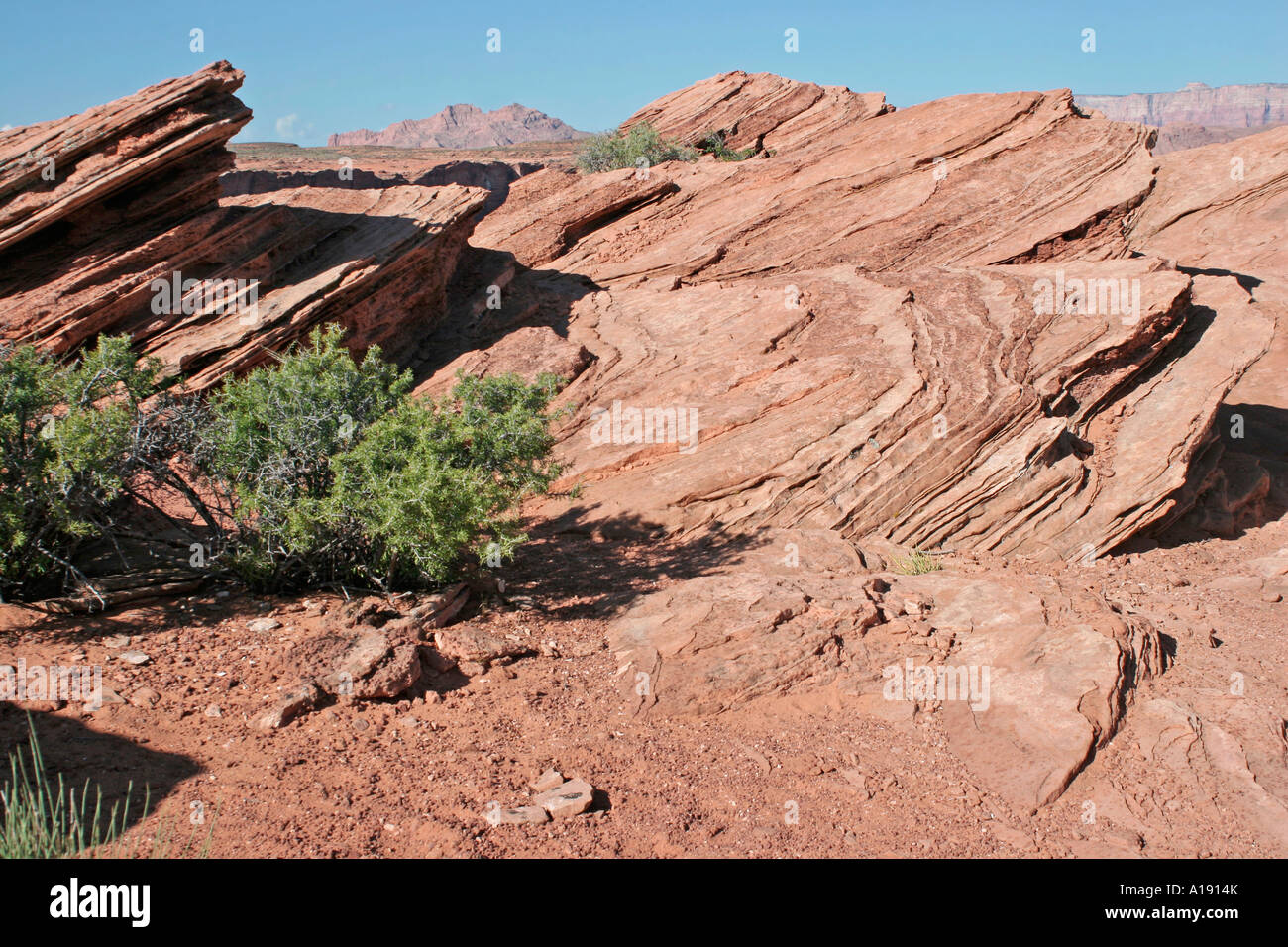 Des formations de roche de grès naturel avec vue sur l'horizon près de Page, Arizona, USA Banque D'Images