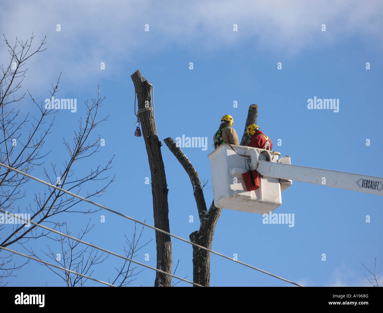 Image de poseurs travaillant sur les fils électriques à partir d'une grue Banque D'Images Image de poseurs travaillant sur les fils électriques à partir d'une grue Banque D'Images
