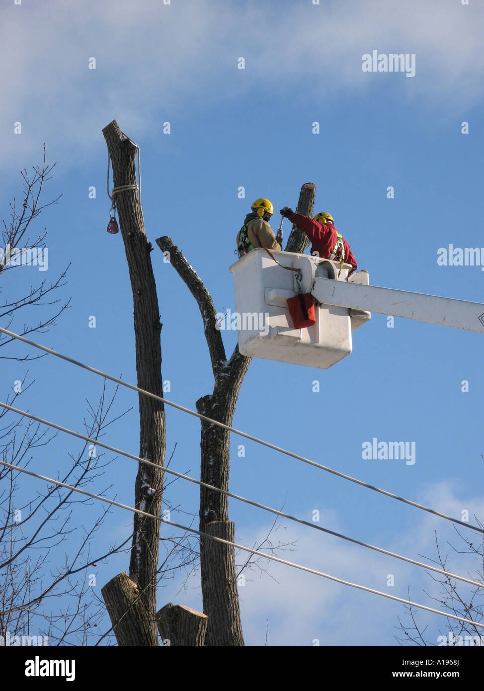 Image de poseurs travaillant sur les fils électriques à partir d'une grue Banque D'Images Image de poseurs travaillant sur les fils électriques à partir d'une grue Banque D'Images