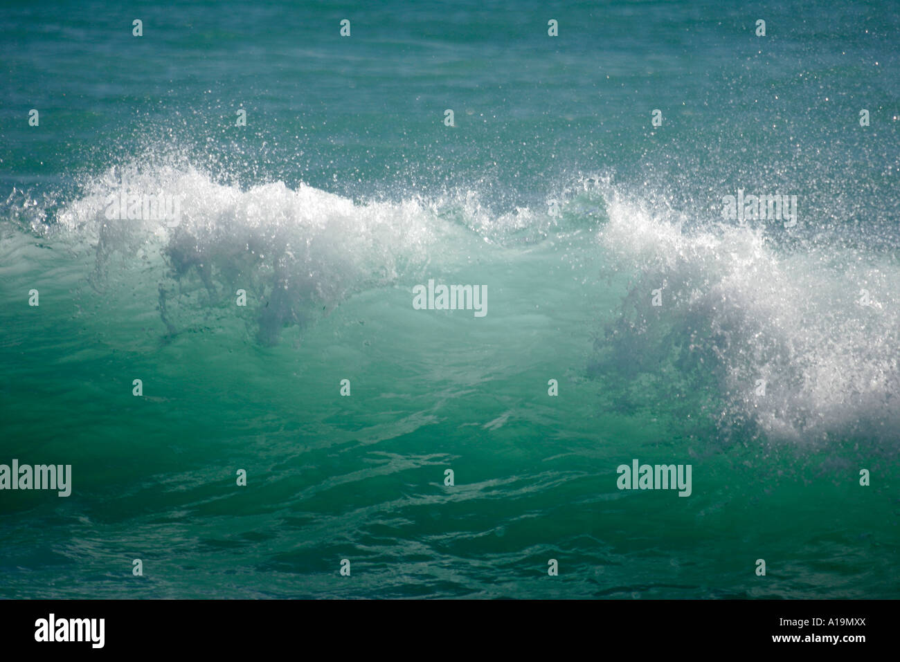 Miami Beach Florida,Océan Atlantique,eau,vagues,eau,brise-vent,crête,eau,surf,marée,FL061125018 Banque D'Images