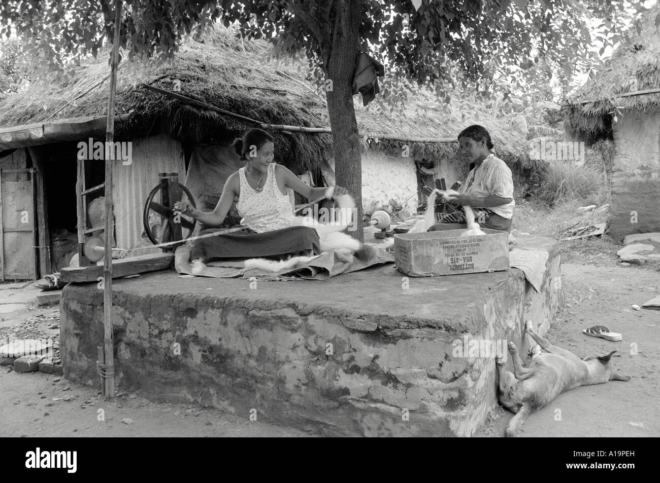 B/W des femmes réfugiées tibétaines assis sous un arbre, en laine sinueuse pour la fabrication traditionnelle de tapis dans un établissement près de Pokhara, au Népal Banque D'Images