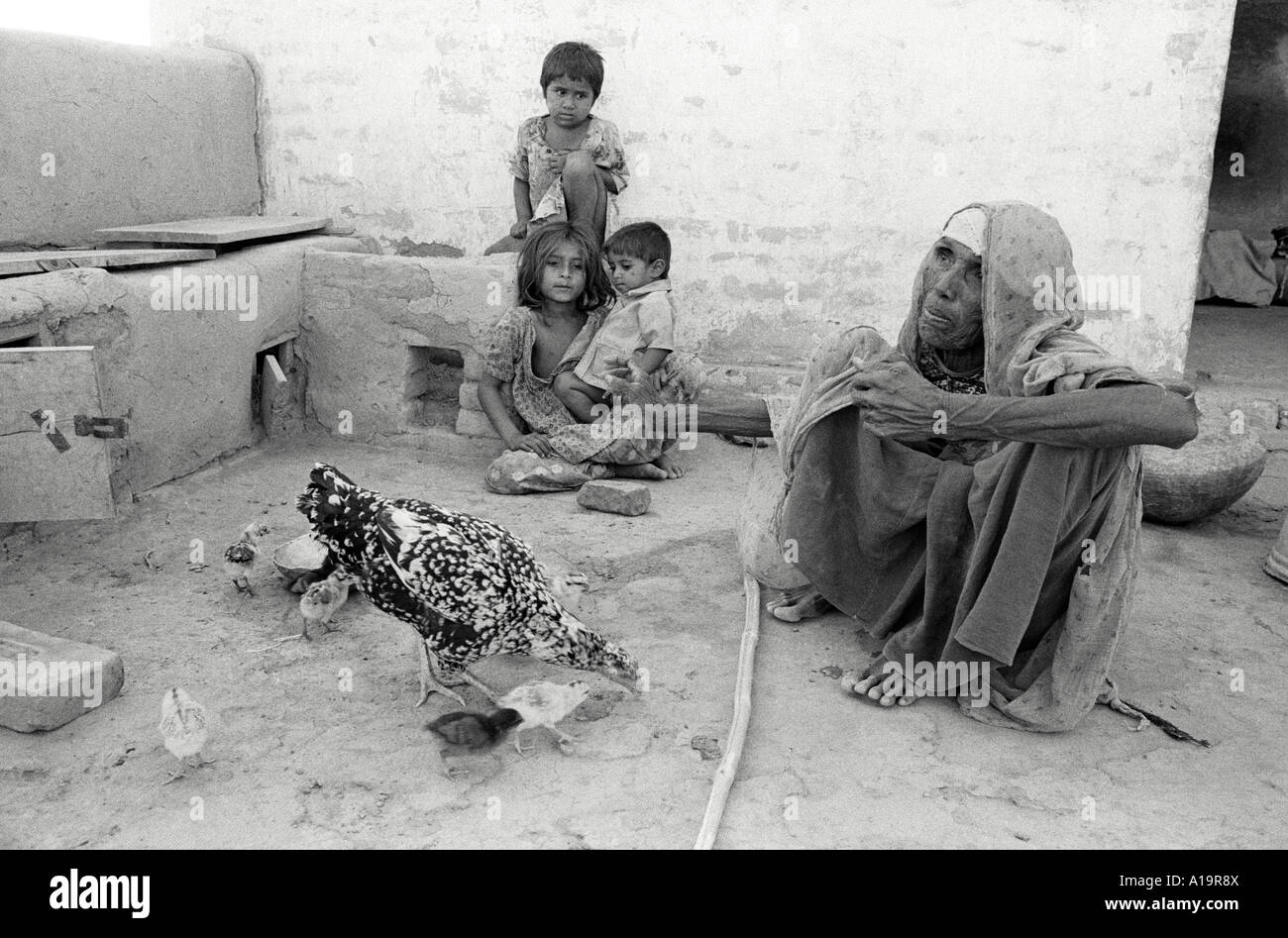 B/W d'une grand-mère, de ses petits-enfants et poulets dans l'arrière-cour d'une famille rurale pauvre, Islamkot, Tharparkar, Pakistan Banque D'Images