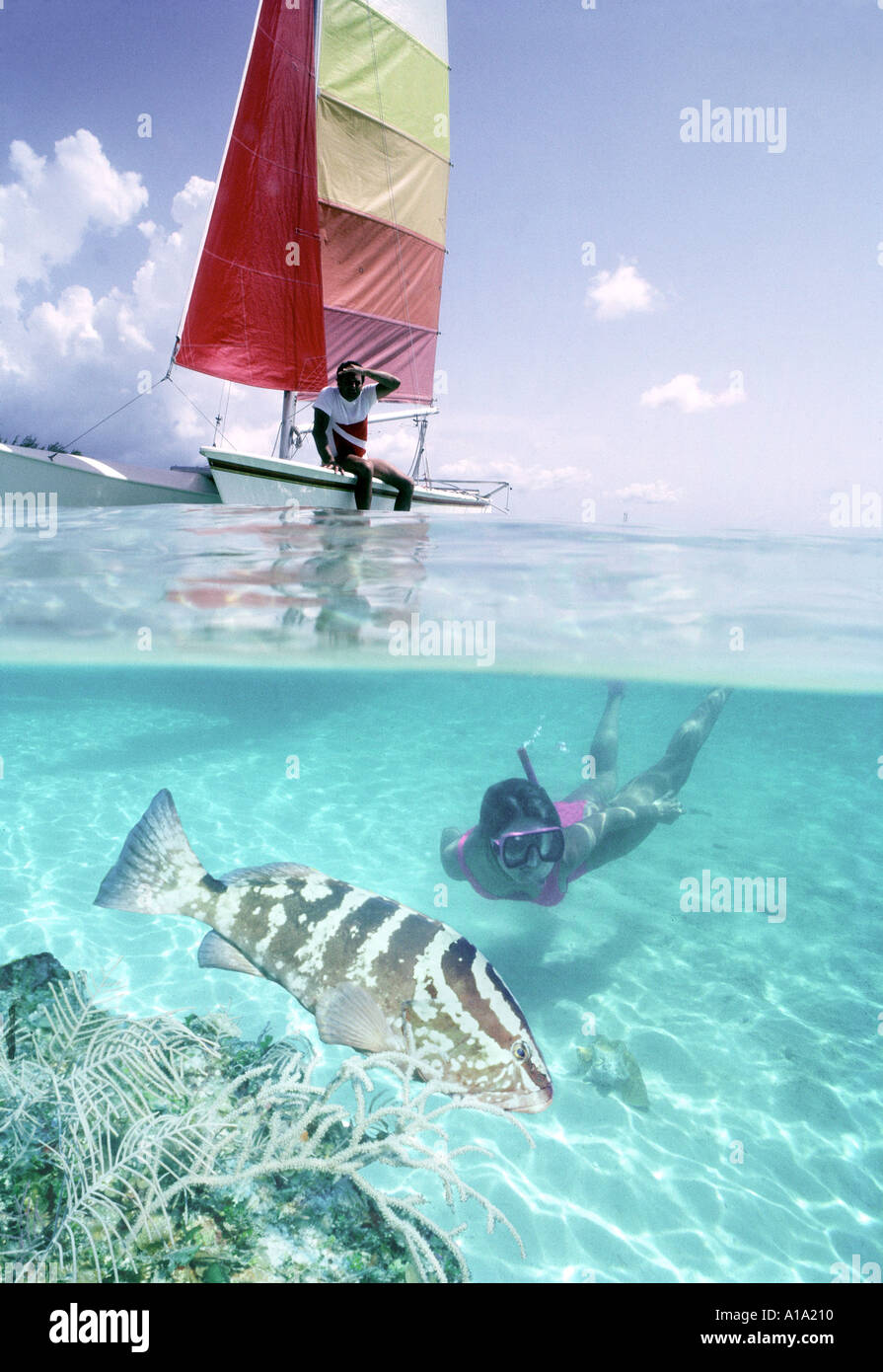 Sous-vue partielle de femme plongée dans l'océan bleu clair avec mérous tandis qu'un homme est assis sur un voilier Hobie Cat Banque D'Images