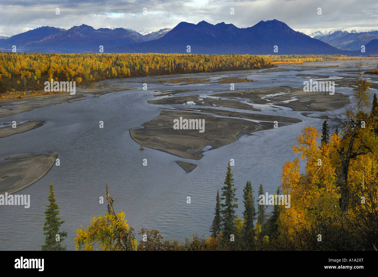 Collection automne sur Chulitna River State Park Denali Alaska USA Banque D'Images