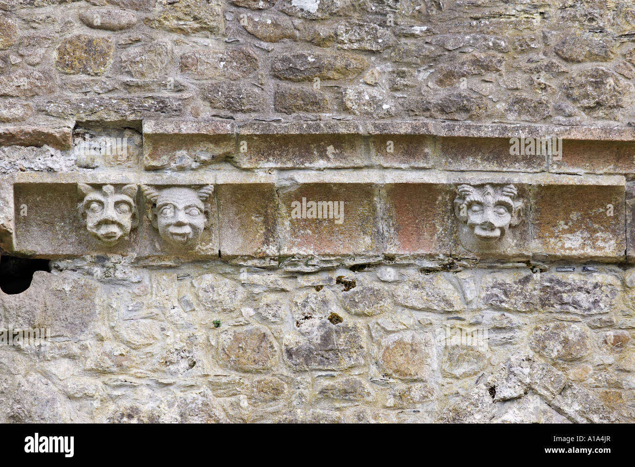 Figures de pierre sur le mur extérieur de l'abbaye de Tintern, comté de Wexford, Irlande Banque D'Images