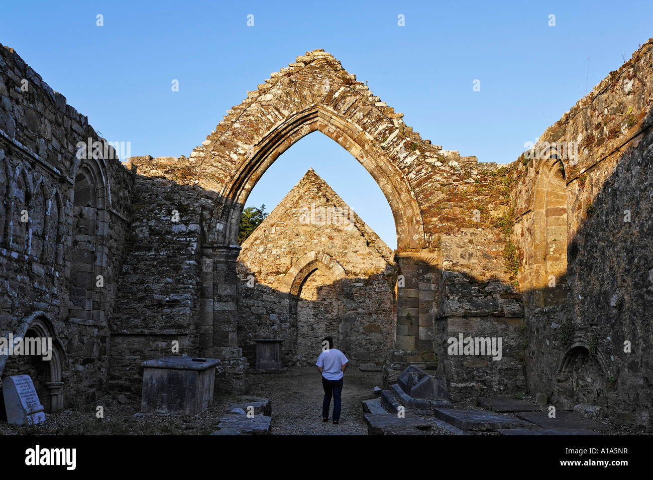 Abbaye d'Ardmore datant du 12. siècle, Ardmore, Waterford, Irlande Banque D'Images