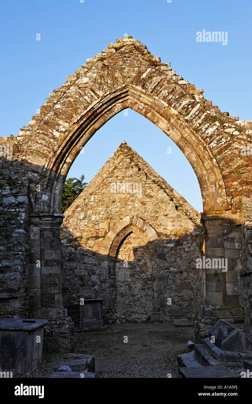 Abbaye d'Ardmore datant du 12. siècle, Ardmore, Waterford, Irlande Banque D'Images