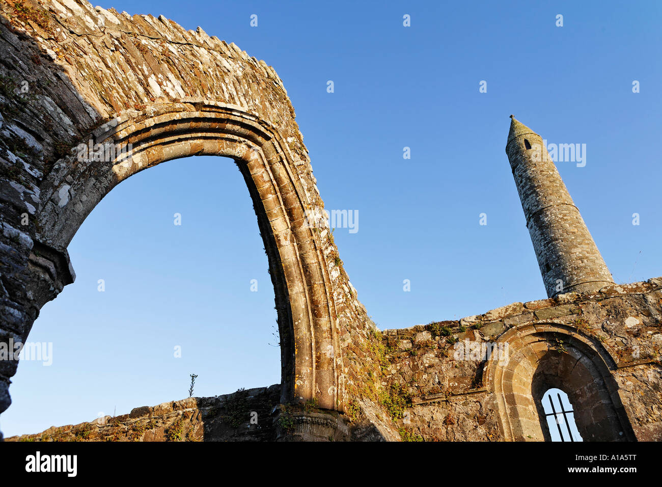L'Ardmore à roundtower abbey datant du 12. siècle, Ardmore, Waterford, Irlande Banque D'Images