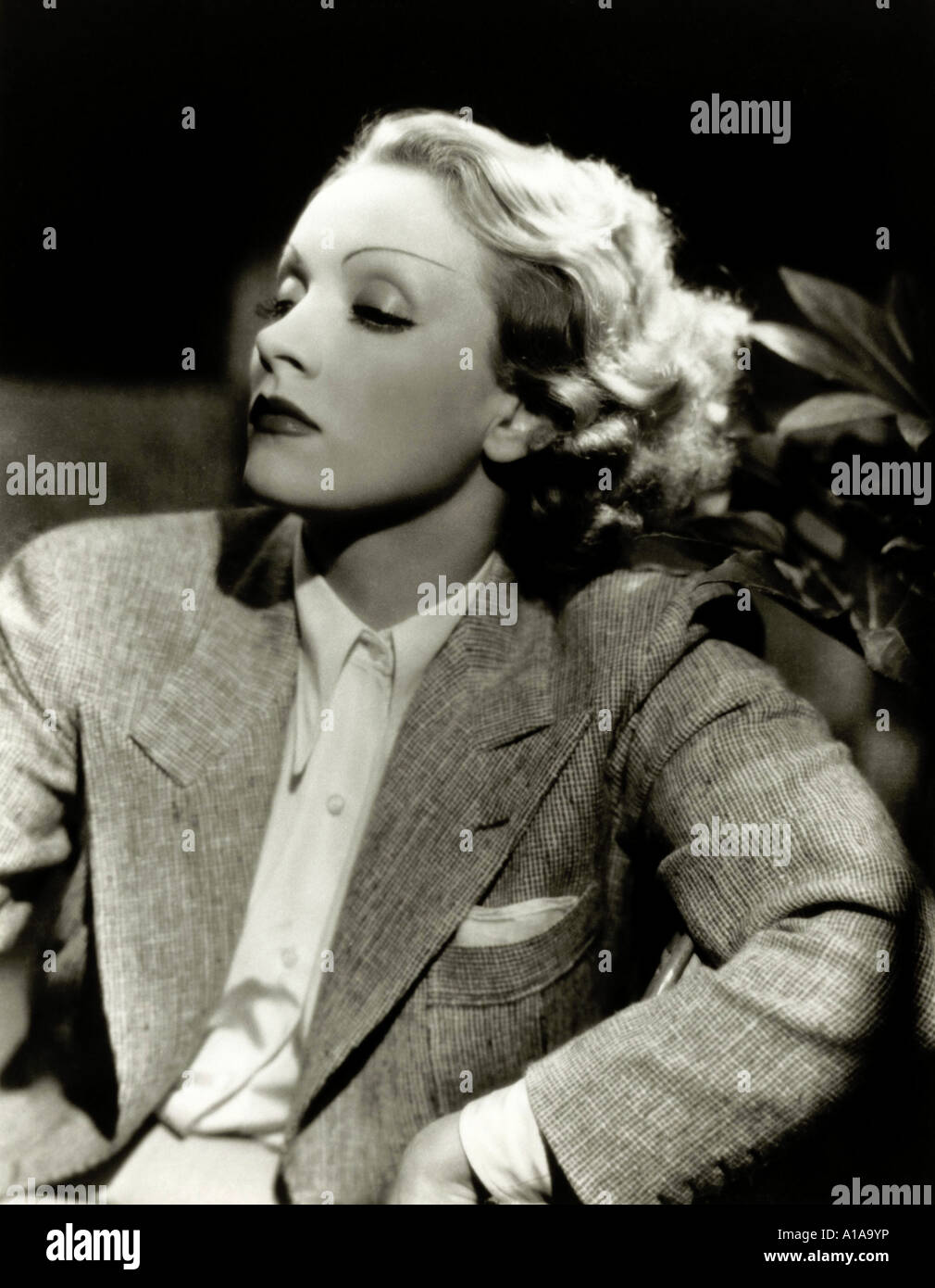 Marlène Dietrich 1901 actrice 1992 Banque D'Images