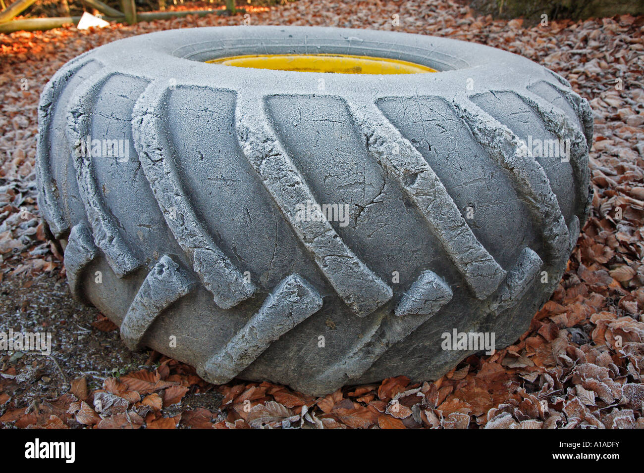 Givre sur un vieux pneu de tracteur dans les bois Banque D'Images