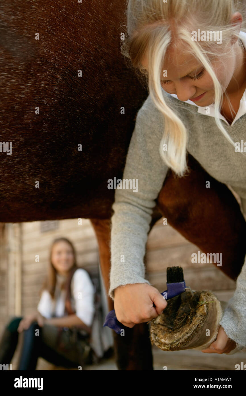 Jeune femme en train de nettoyer le sabot du cheval Banque D'Images
