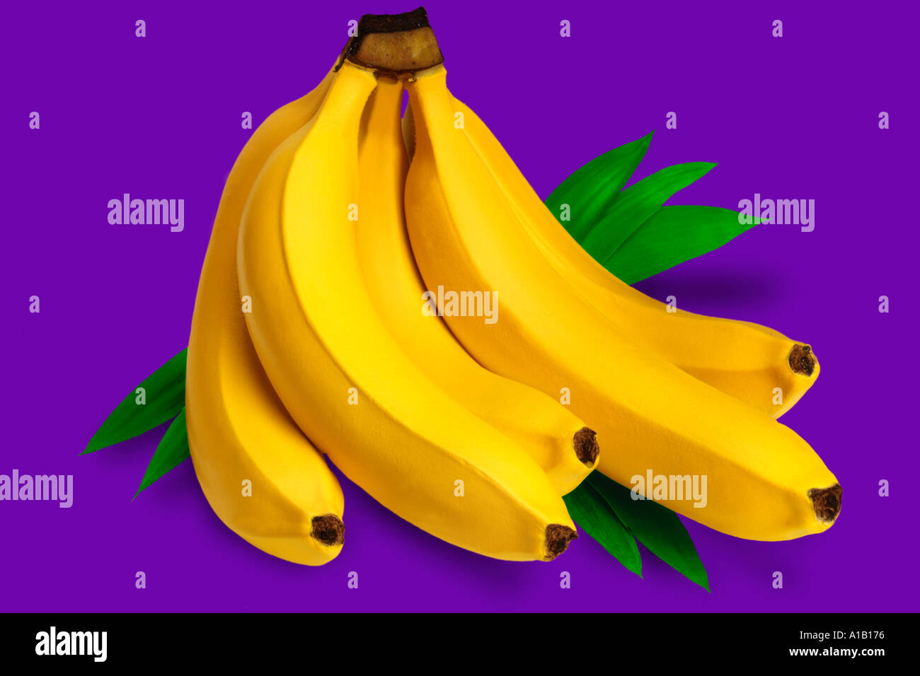 Régime de bananes sur purple Banque D'Images