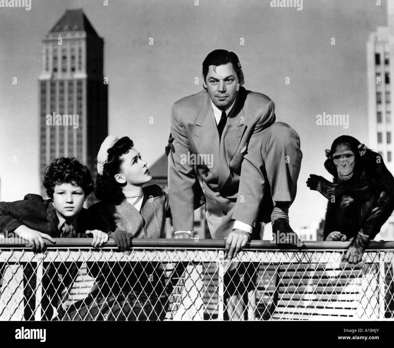 Les Aventures De Tarzan A New York Tarzan s'aventure à New York l'année 1942 réalisateur Richard Thorpe Johnny  Weissmuller Maureen O Hara John Sheffield Photo Stock - Alamy