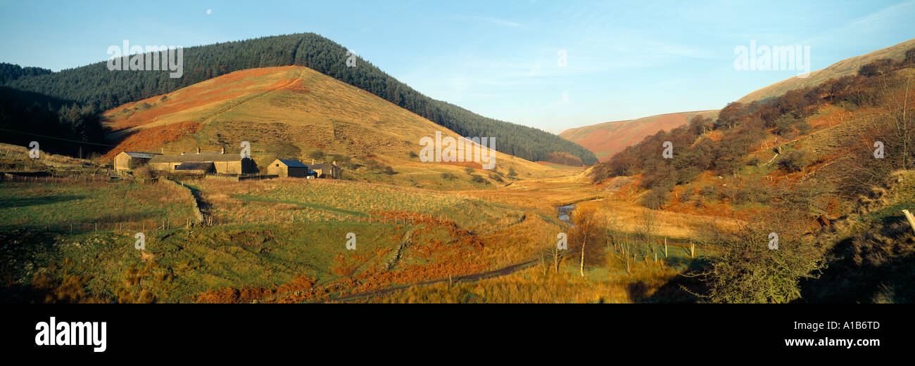 Photo 002 038 Alportdale et panorama de plantation, le parc national de Peak District. Banque D'Images