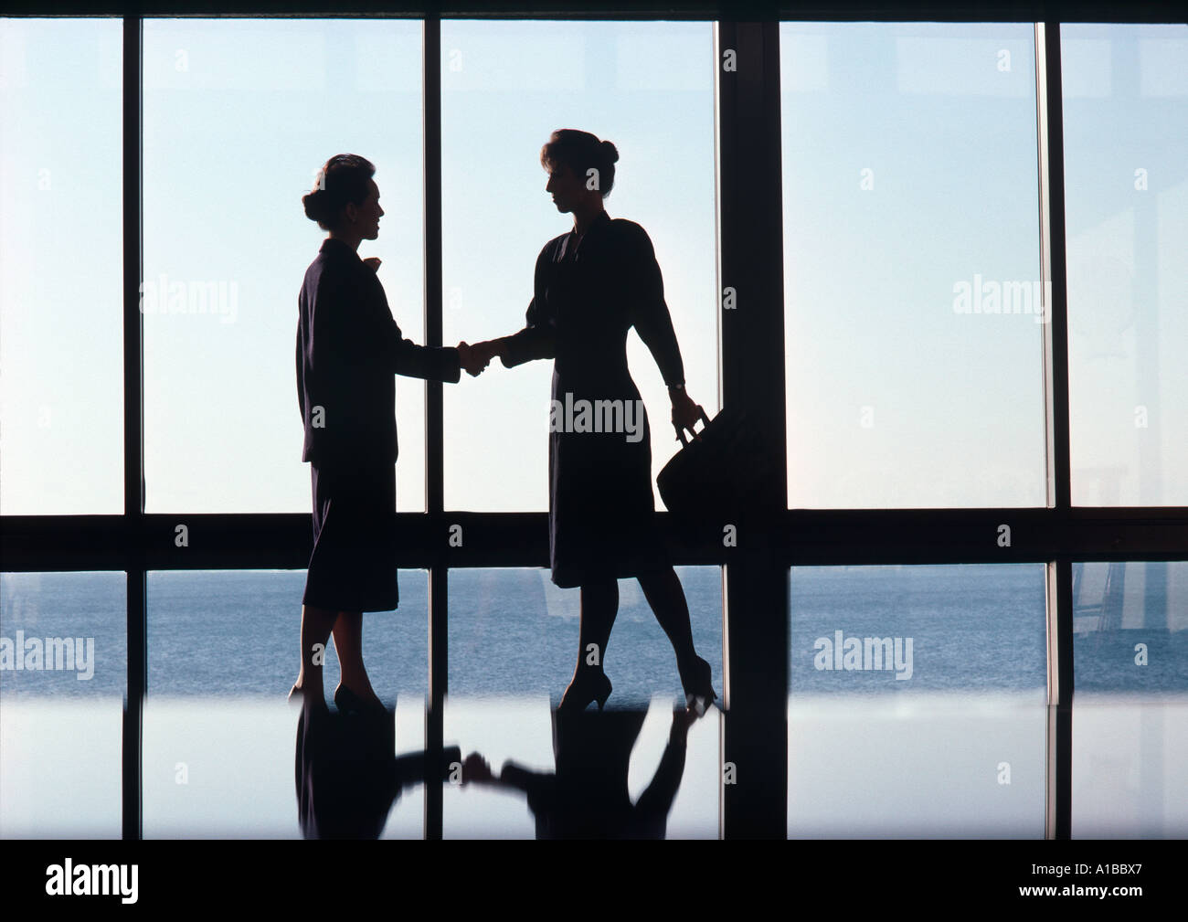 Deux femmes d'affaires se serrant la main dans un bureau Banque de ...