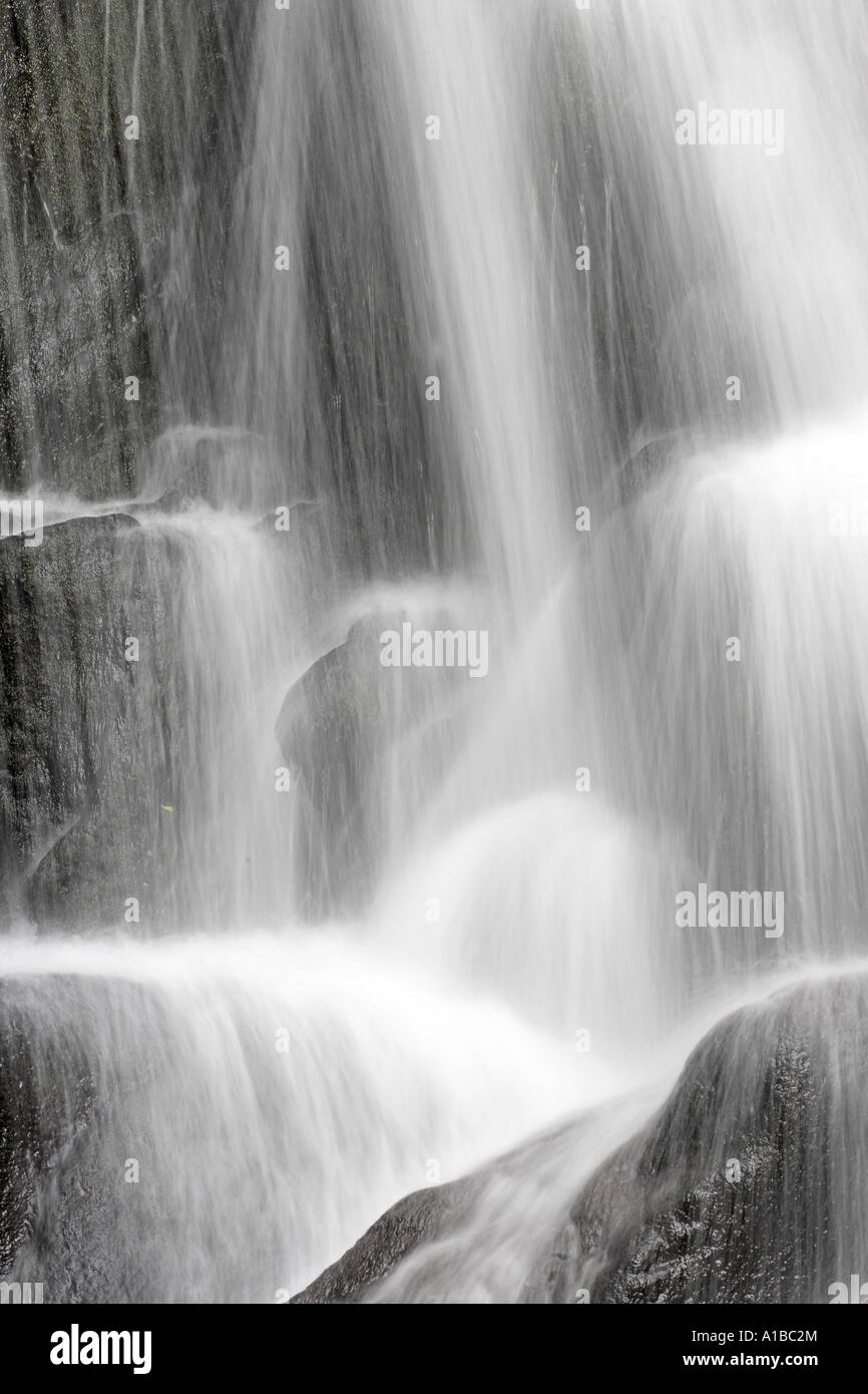 Torc Waterfall de la rivière owengarriff, Killarney, iveragh, Irlande Banque D'Images