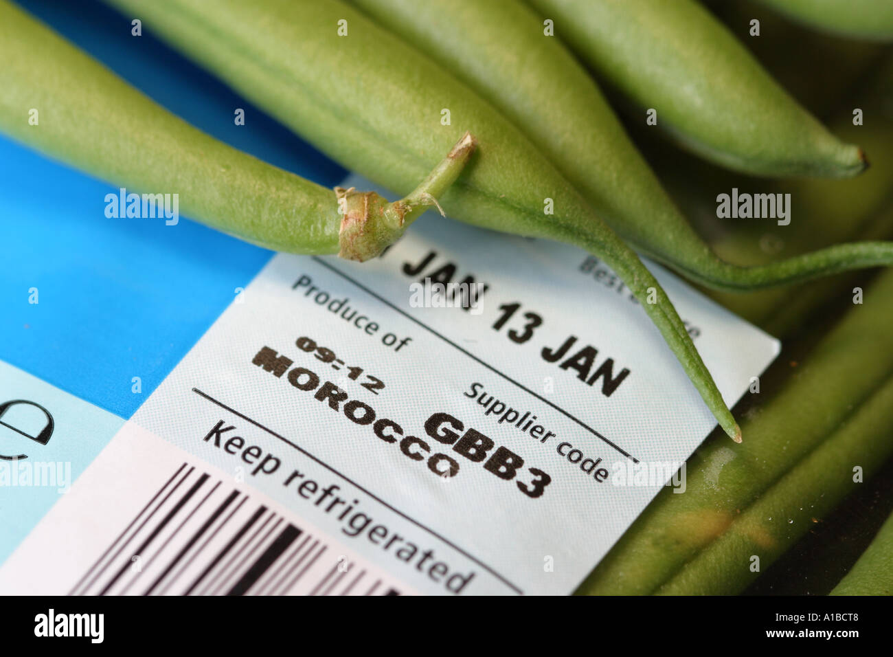 Haricots verts produit du Maroc Banque D'Images