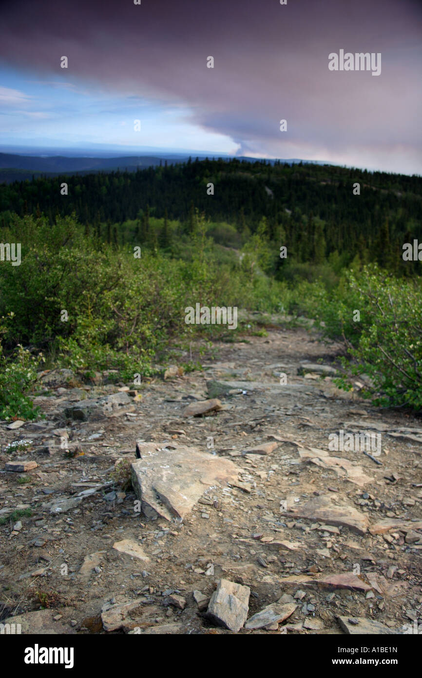 La fumée des incendies de forêt s'élève dans la distance dans ce large-angle vertical image, Alaska, USA. Banque D'Images