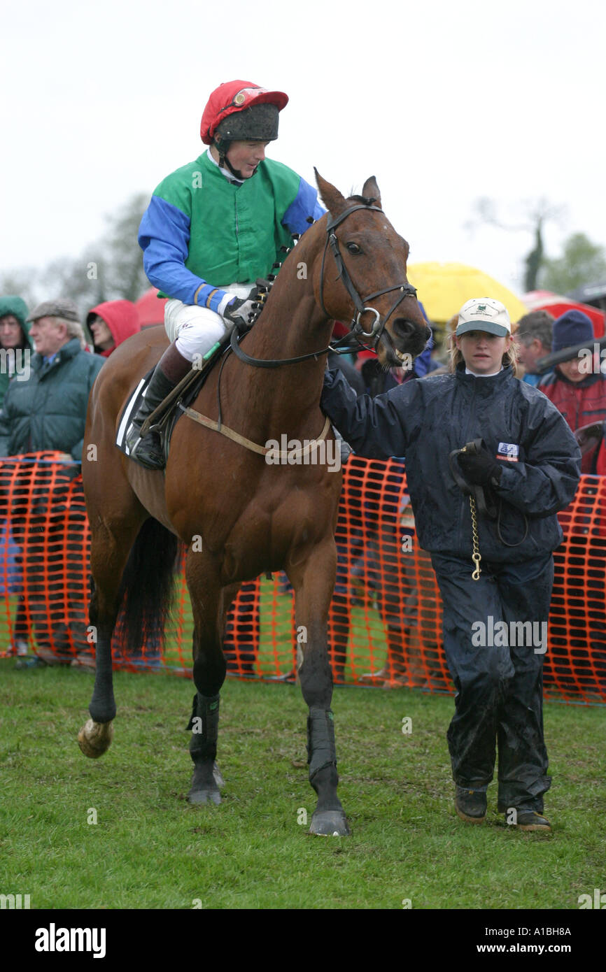 Cheval jockey et gestionnaire dans la parade à anneau Maralin Point to Point près de Moira le comté de Down en Irlande du Nord Banque D'Images