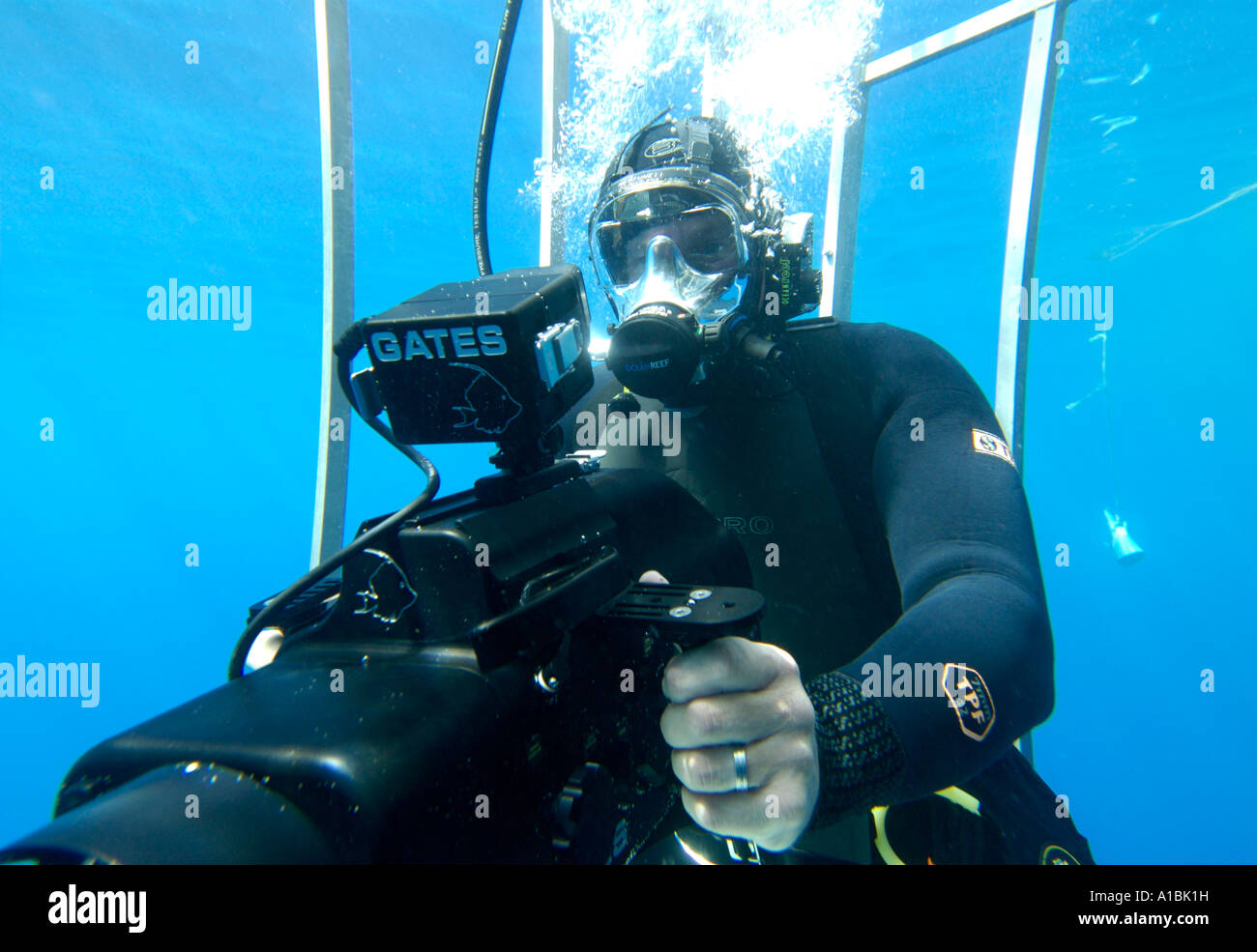 Une caméra sous-marine homme dans une cage requins Banque D'Images