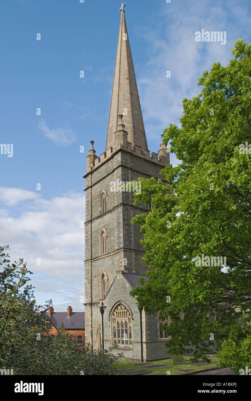 L'Irlande du Nord Ulster comté Londonderry Derry Cathédrale St Columb Banque D'Images