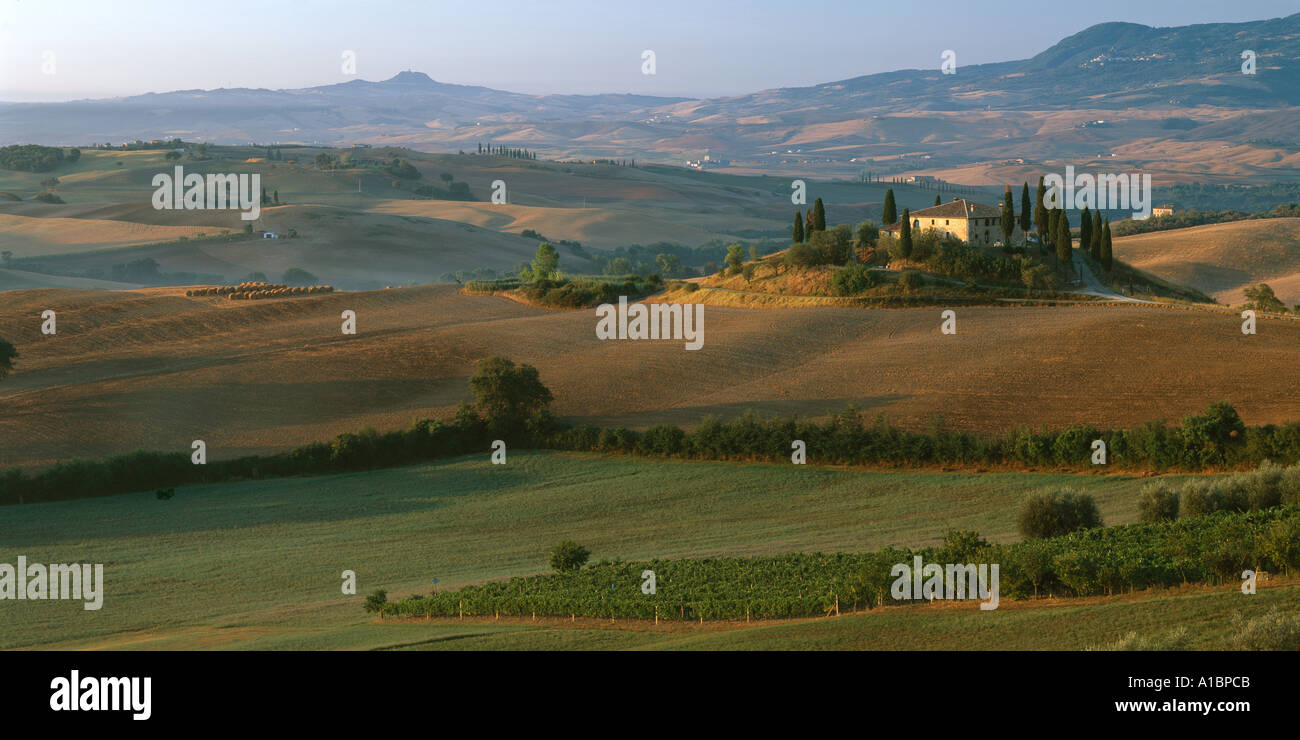 "Belvédère", le Val d'Orcia, Toscane. Banque D'Images