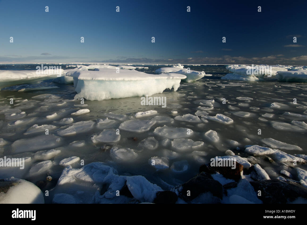 Pack de glace dans la baie d'accueil au début de l'hiver le gel de l'océan s'gèle à partir de Novembre jusqu'en juin Banque D'Images