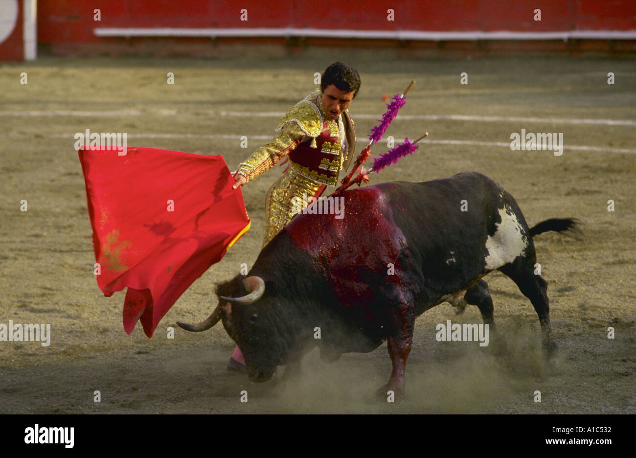 Matador et taureau au cours de corrida dans Caracas venezuela Banque D'Images