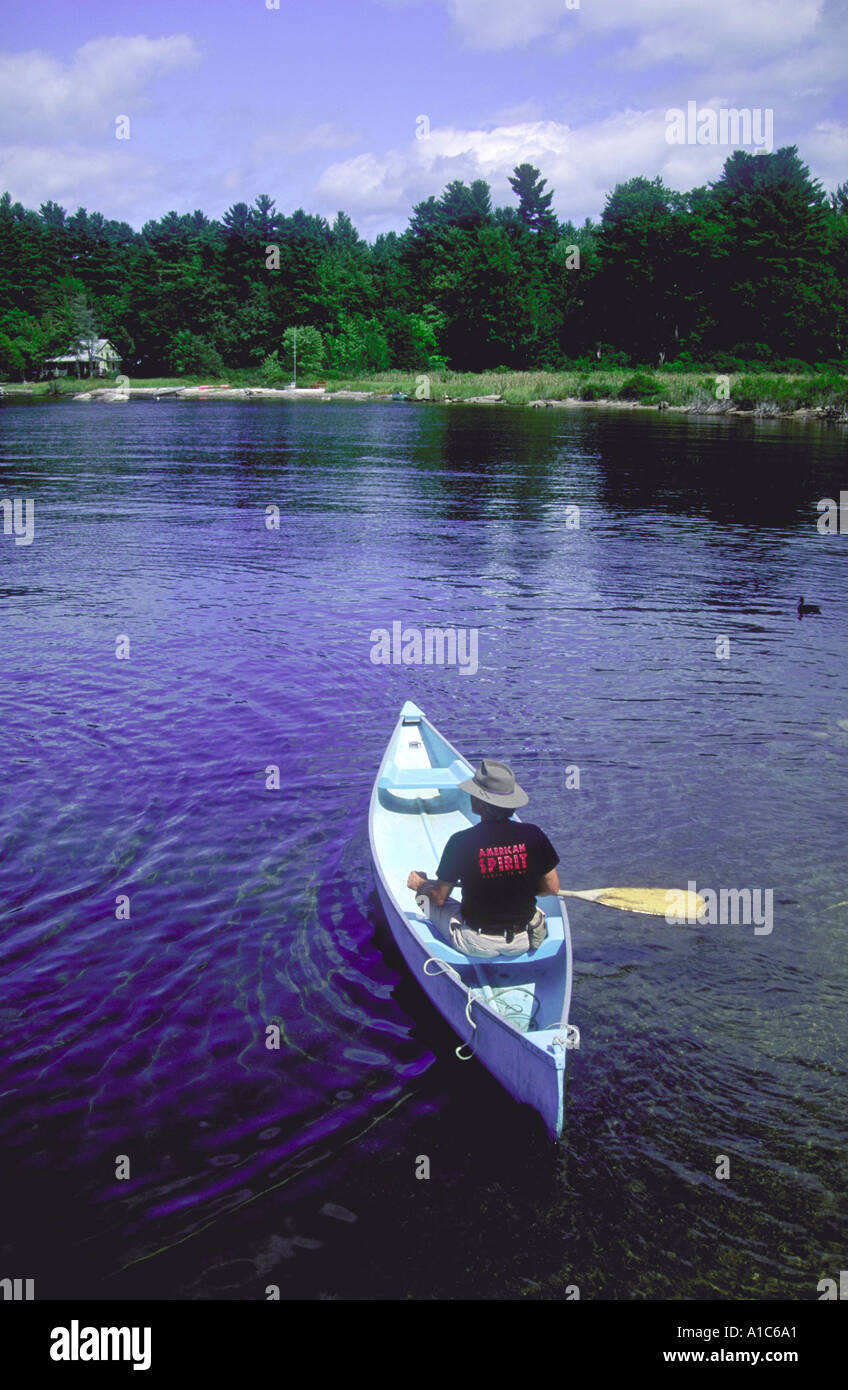 Man in blue canoe sur le lac Sebago dans Maine Banque D'Images