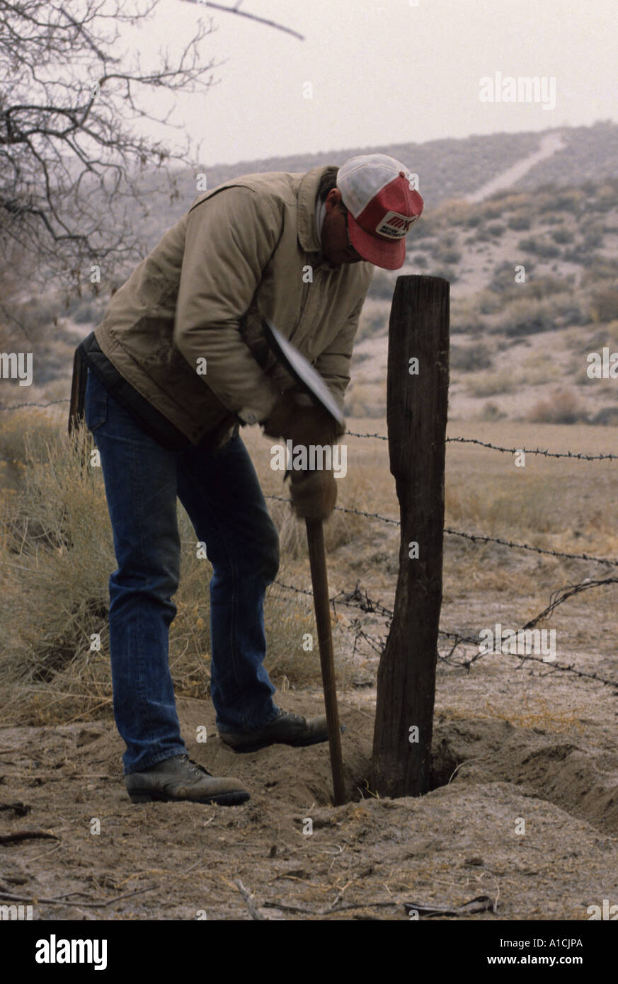 Creuser un nouveau poteau de clôture sur un ranch en Californie Banque D'Images