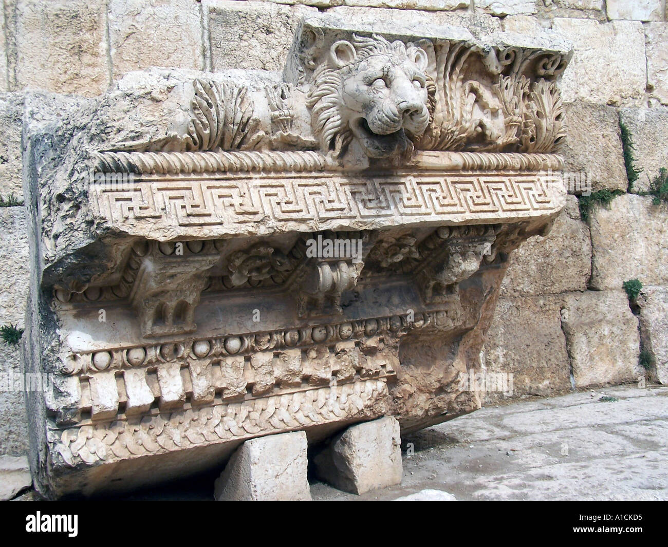 Tête de Lion sculpté roman Ruins Liban Baalbeck Banque D'Images
