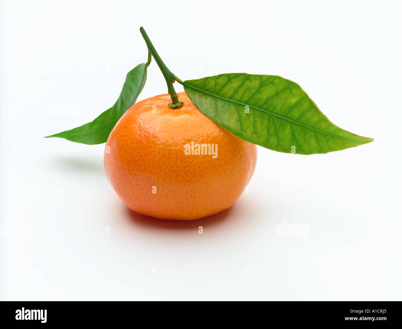 orange mandarine Banque D'Images