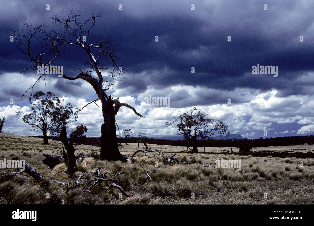 Ciel d'orage Tasmanie Australie Banque D'Images
