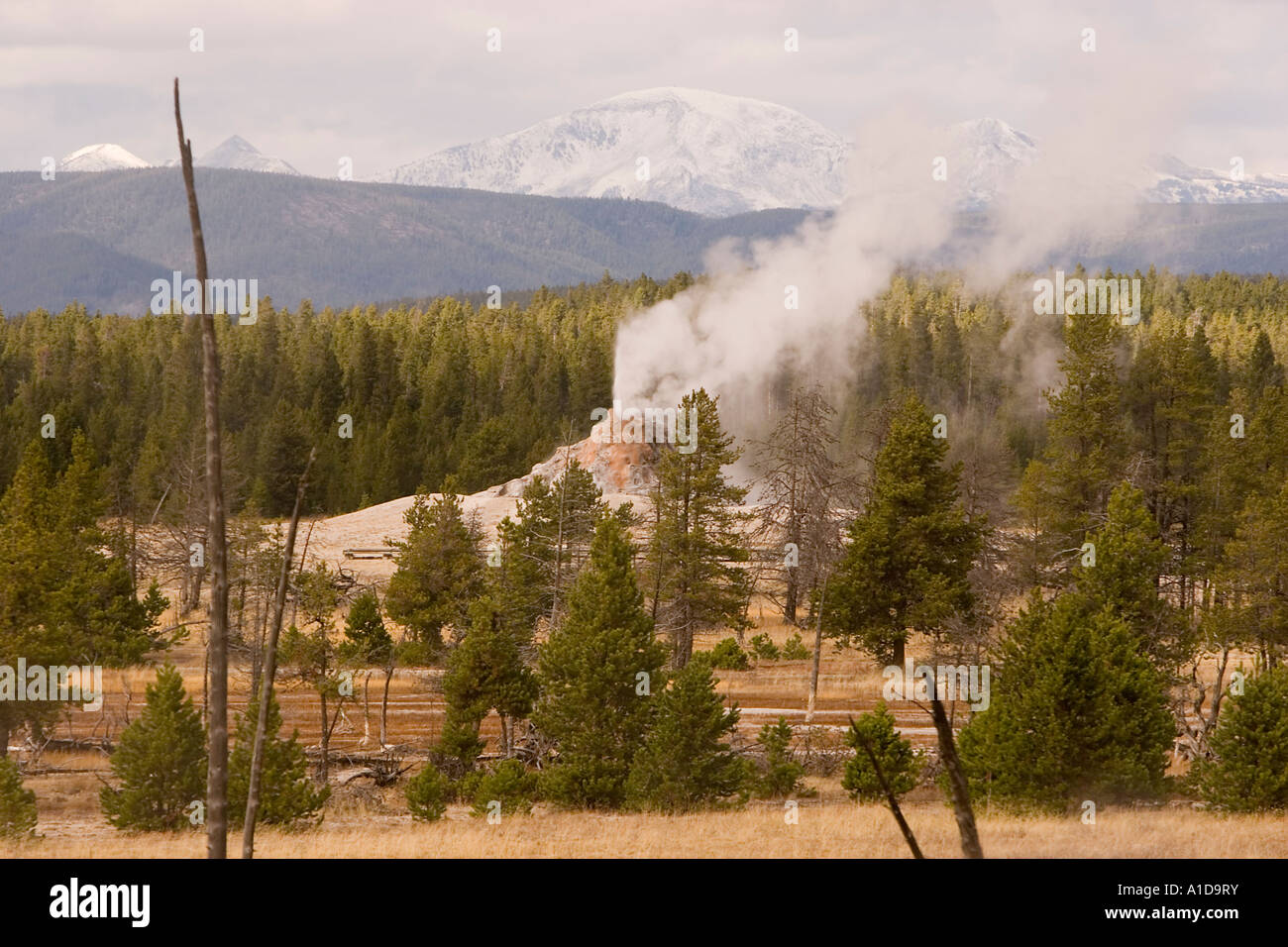 White Dome Geyser Banque D'Images