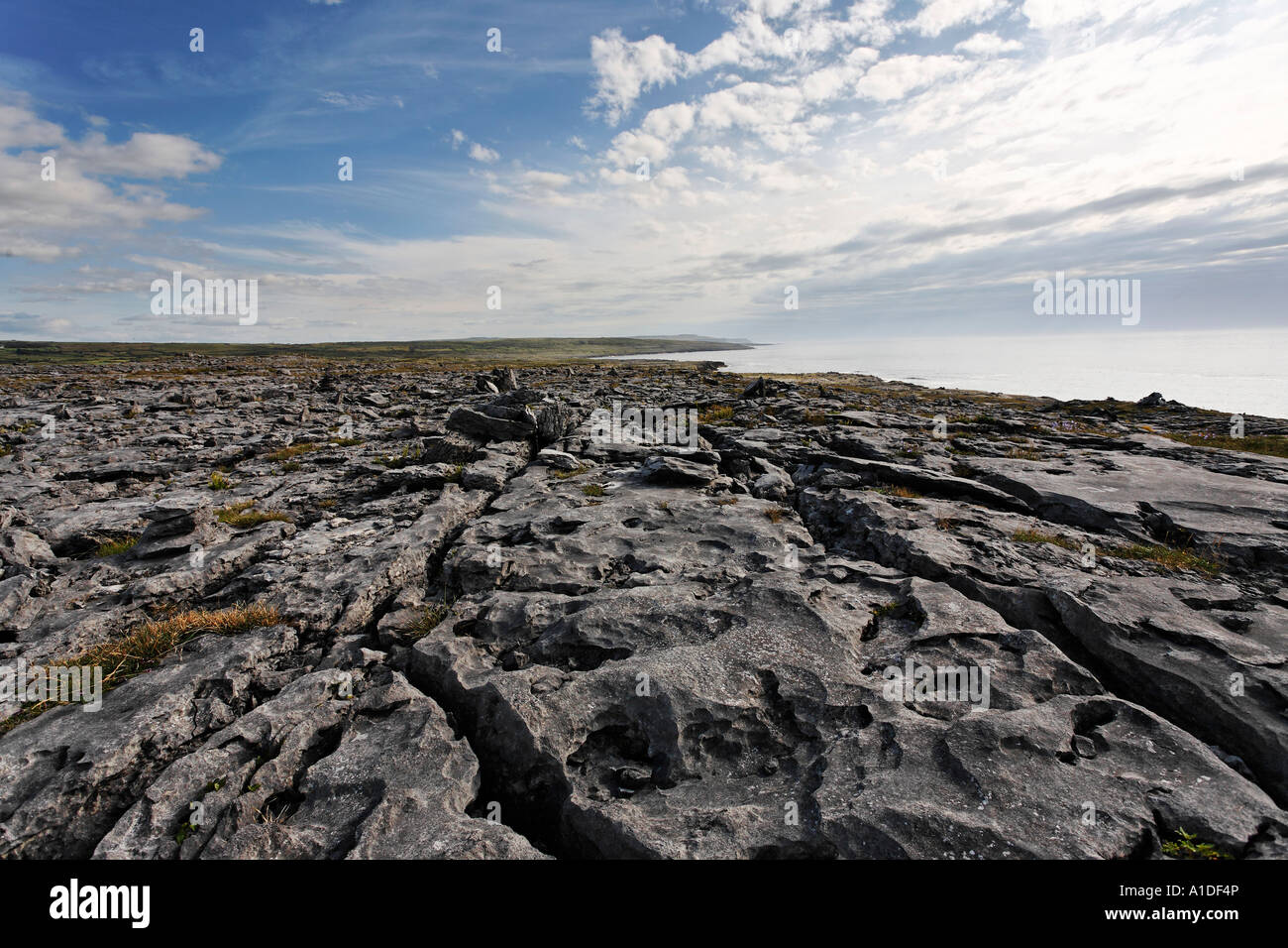 Le Burren est une région calcaire plissé , burren, Clare, Irlande Banque D'Images
