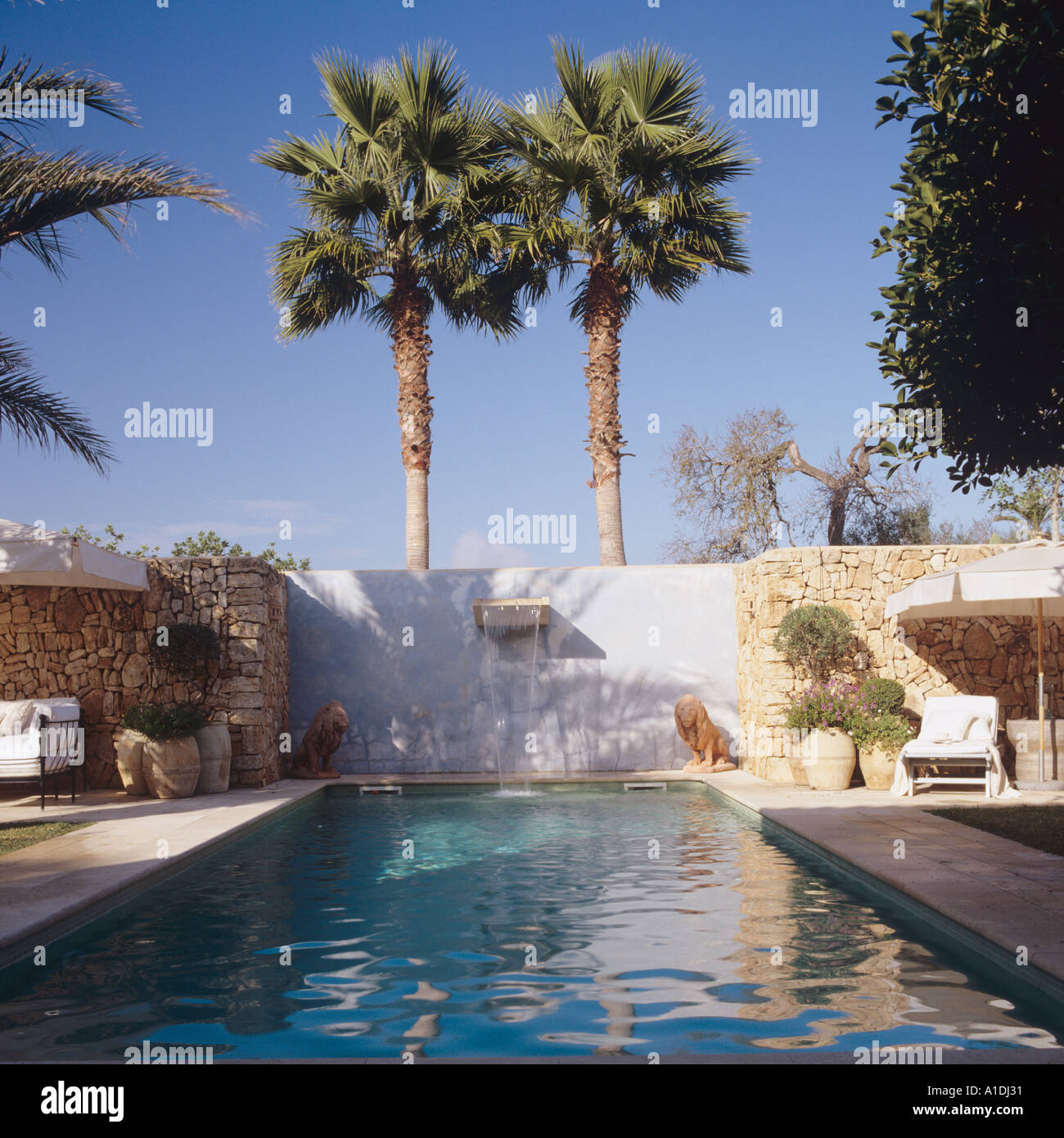 Palmiers s'élevant au-dessus d'une piscine à Ibiza, Espagne Banque D'Images